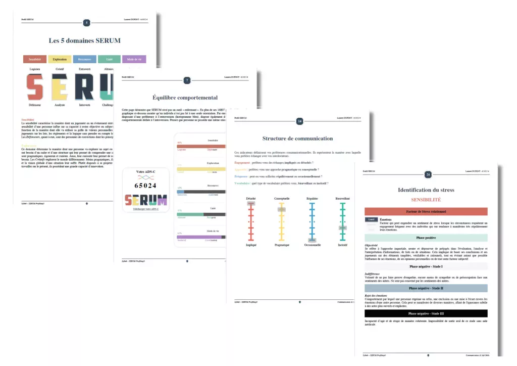 Exemple de rapport SERUM